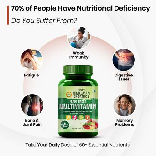 Vlado's Himalayan Organics: Plant Based Multivitamin with 60+ Extracts- 60 Vegetarian Capsules