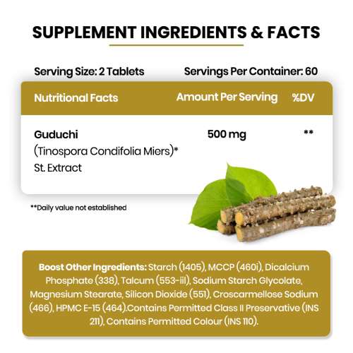 Vlado's Himalayan Organics: Giloy Extract | Immunity Booster | Helps in Blood Purification | 120 Veg Tablets