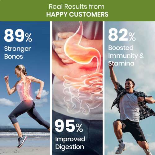 Vlado's Himalayan Organics: Vlados Himalayan Organics Multivitamin With Probiotics - 60 Ingredients Supplement For Men And Women | Vitamin C, D, E, B3, B5, B12, Zinc, Magnesium, Giloy & Biotin | Good For Bone & Joint Support | Gut health - 60 Veg Tablets