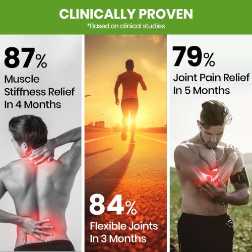 Vlado's Himalayan Organics: Vlados Himalayan Organics Glucosamine Chondroitin MSM with Boswellia | Cartilage & Joint Support Supplement | Glucosamine for Joint Relieves Pain and Stiffness - 90 Vegetarian Tablet