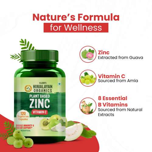 Vlado's Himalayan Organics: Plant Based Zinc with Vitamin C | Builds Immunity & Anti Inflammation || 120 Veg Capsules