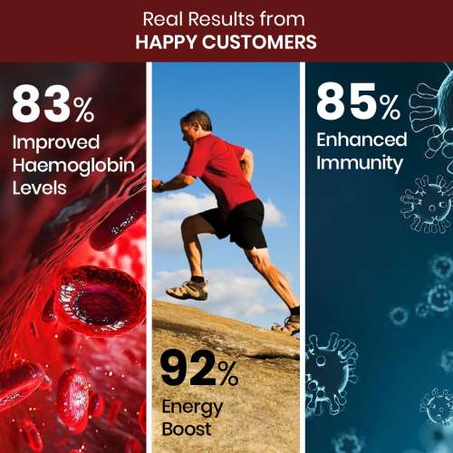 Vlado's Himalayan Organics: Plant Based Iron Supplement with Folate | Blood Builder | Whole Food | 90 Veg Capsules