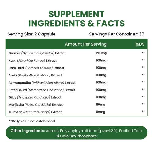 Vlado's Himalayan Organics: Diabetes Support Supplement | Helps Control Blood Sugar Levels | 100% Vegetarian (60 Capsules)