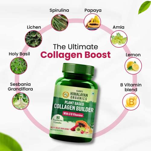 Vlado's Himalayan Organics: Vlado's Himalayan Organics Plant Based Collagen Builder for Hair and Skin with Biotin and Vitamin C - 90 Veg Capsules