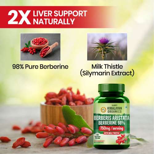 Vlado's Himalayan Organics: Vlado's Himalayan Organics Berberis Berberine 98% with Milk Thistle I Berberine Capsules 750 mg | Berberine Supplements for 2X Liver Support I Berberis Aristata ISupports Liver Health, Antioxidant Protection & Weight Management | Herbal Formula for Detox 