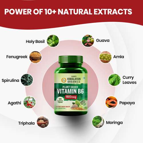 Vlado's Himalayan Organics: Plant-Based Vitamin B6 | Supports Immunity, Brain Health (120 Capsules)