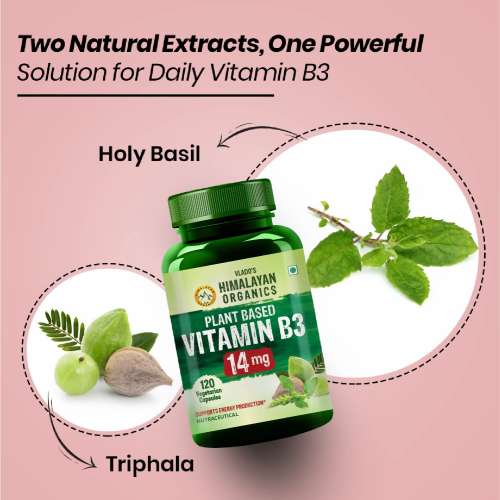 Vlado's Himalayan Organics: Plant-Based Vitamin B3 | Supports Healthy Skin and Heart 120 Capsules