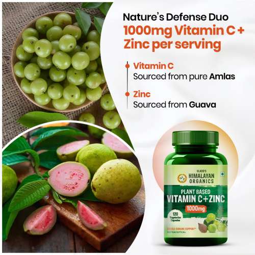 Vlado's Himalayan Organics: Plant Based Vitamin C with Zinc - 120 Veg Capsules