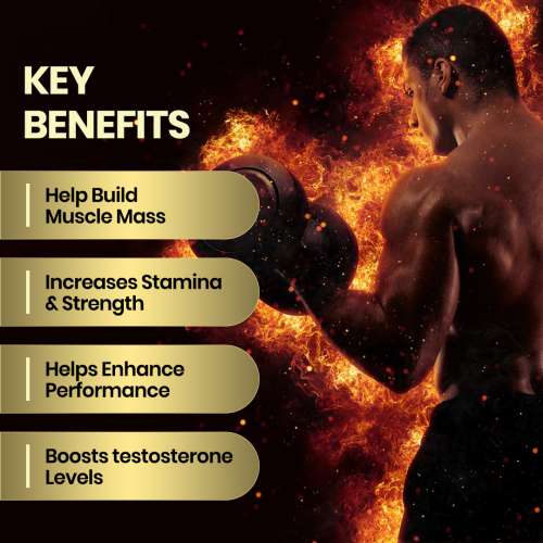 Vlado's Himalayan Organics: Himalayan Shilajit/Shilajeet Resin 20g