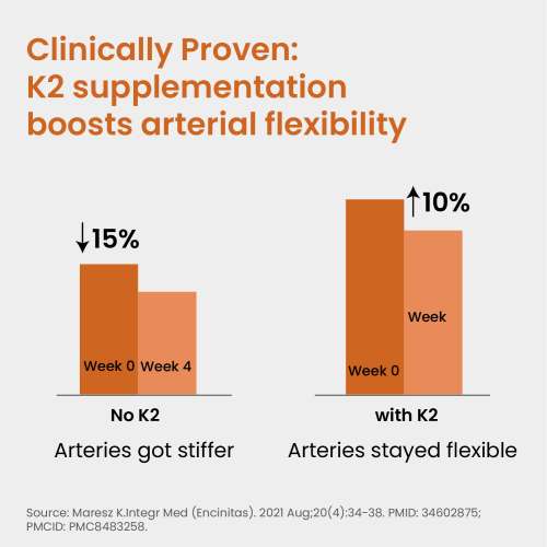 Vlado's Himalayan Organics: Vlados Himalayan Organics Vitamin D3 600 IU + K2 as MK7 Supplement | Supports Stronger Immunity & Bone & Heart Health | Healthy Heart For Men And Women - 120 Veg Tablets