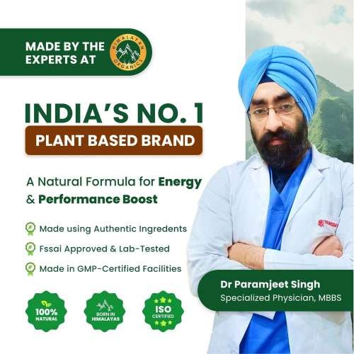 Vlado's Himalayan Organics: Korean Red Ginseng 1000mg/Serve 100 Veg Capsules