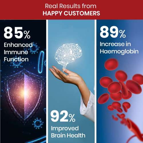 Vlado's Himalayan Organics: Plant-Based Vitamin B6 | Supports Immunity, Brain Health (120 Capsules)