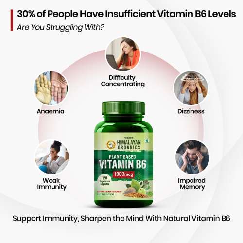 Vlado's Himalayan Organics: Plant-Based Vitamin B6 | Supports Immunity, Brain Health (120 Capsules)