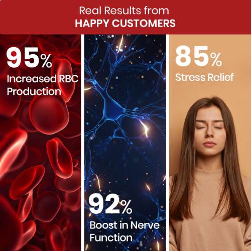 Vlado's Himalayan Organics: Plant Based Vitamin B12 Natural- 60 Veg Capsules