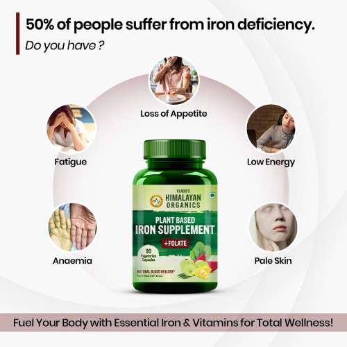 Vlado's Himalayan Organics: Plant Based Iron Supplement with Folate | Blood Builder | Whole Food | 90 Veg Capsules
