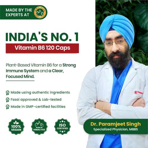 Vlado's Himalayan Organics: Plant-Based Vitamin B6 | Supports Immunity, Brain Health (120 Capsules)