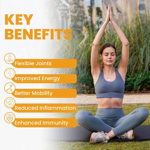 Vlado's Himalayan Organics: Vlado's Himalayan Organics Curcumin With Biopiperine 1500mg Tablets With 95% Curcuminoids Supplements For Better Absorption | Good For Skin & Joint pains - 90 Veg Tablets