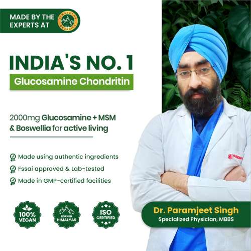 Vlado's Himalayan Organics: Vlados Himalayan Organics Glucosamine Chondroitin MSM with Boswellia | Cartilage & Joint Support Supplement | Glucosamine for Joint Relieves Pain and Stiffness - 90 Vegetarian Tablet