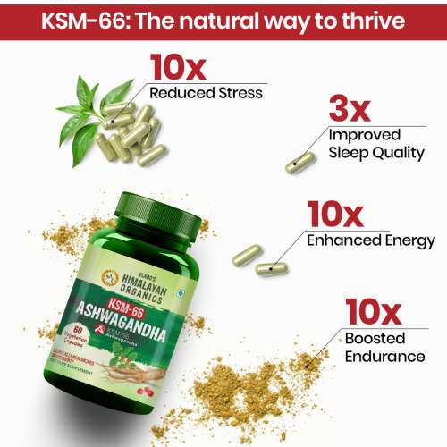 Vlado's Himalayan Organics: KSM - 66 Ashwagandha 1000Mg I KSM-66 I Boost Energy, Strength, Stamina | Helps Anxiety & Stress Relief For Men & Women (60 Capsules)