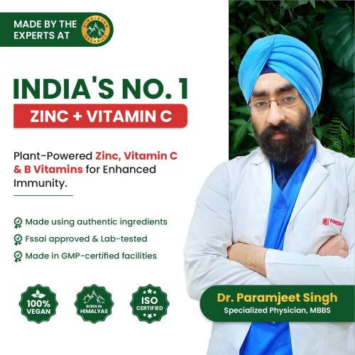 Vlado's Himalayan Organics: Plant Based Zinc with Vitamin C | Builds Immunity & Anti Inflammation || 120 Veg Capsules