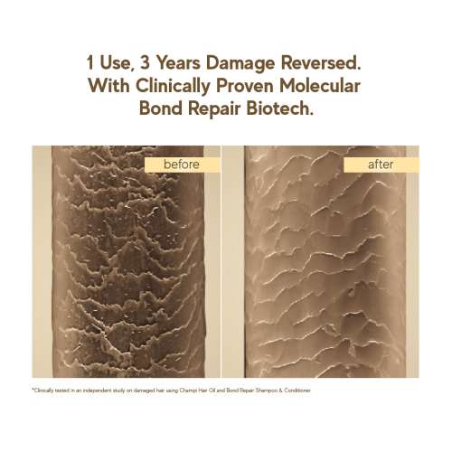 Inde Wild: Inde Wild Champi Bond Repair Shampoo - Strengthening, Hairfall Control & Scalp Cleanser  300ml
