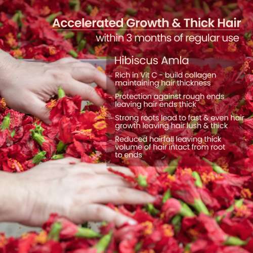 Nat Habit: Hibiscus Amla Hair Oil For Women & Men, Helps In Hair Growth & Thickness, 100ml