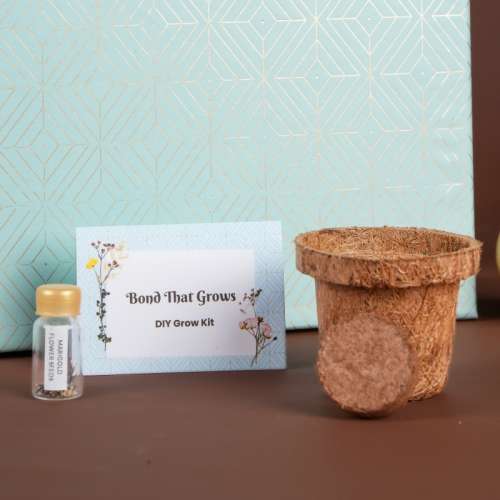 Omay Foods: Omay Foods Awesome Grow Kit New Years Gift Box  700gm