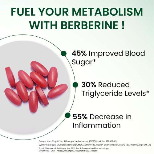 Vlado's Himalayan Organics: Liposomal Berberine HCL+ 1500mg+ with Piperine, Chromium , Bitter Melon, Bael, Gudmar & Vitamin B12 |For Metabolism, Hormonal Balance, Healthy Blood Sugar & Cholesterol Levels | 60 Veg Tablets