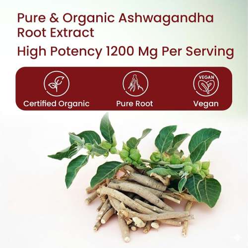 Vlado's Himalayan Organics: Organic Ashwagandha 1200mg Tablets | Stress & Anxiety Relief Tablets | Ashwagandha Powder tablet 1000 mg | Rejuvenates Mind & Body General Wellness - 60 Tablets