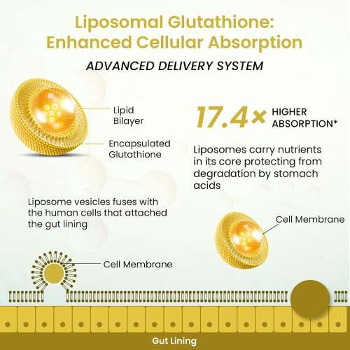 Vlado's Himalayan Organics: Liposomal Glutathione 650 mg+ Advanced Liposomal Formula with N-Acetyl L-Cysteine , Vitamin C & B12 - Highest Bioavailability & Absorbability, Enhanced Absorption - Cellular & Face Health - Helps in Skin Hydration & Skin Glow - Liver Health & Detoxificati