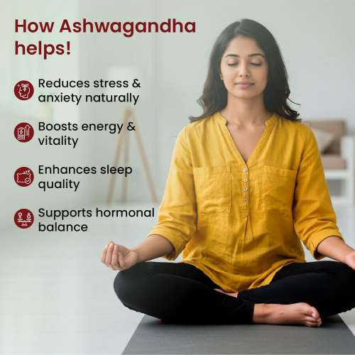 Vlado's Himalayan Organics: Organic Ashwagandha 1200mg Tablets | Stress & Anxiety Relief Tablets | Ashwagandha Powder tablet 1000 mg | Rejuvenates Mind & Body General Wellness - 60 Tablets