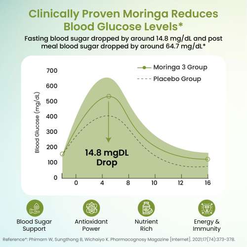 Vlado's Himalayan Organics: Organic Moringa Tablet with 1200mg Moringa Leaves Extract | Moringa Powder Tablets for Immunity, Digestion & Energy| Moringa Leaves Tablets, 60 Tablets