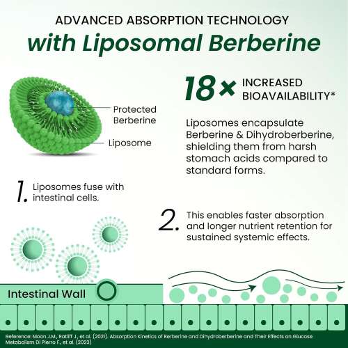 Vlado's Himalayan Organics: Liposomal Berberine HCL+ 1500mg+ with Piperine, Chromium , Bitter Melon, Bael, Gudmar & Vitamin B12 |For Metabolism, Hormonal Balance, Healthy Blood Sugar & Cholesterol Levels | 60 Veg Tablets