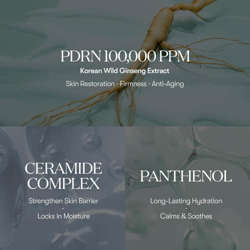 VT Cosmetics: PDRN 100 Essence | PDRN | Skin Repair | Elasticity Boost | Glow Boost | 30ml