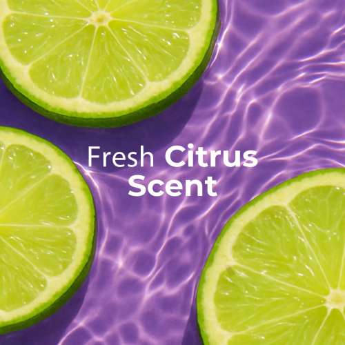 Hula Hoop: Hula Hoop Exfoliating Body Wash by Foxtale | Exfoliates & Smoothens | 250ml