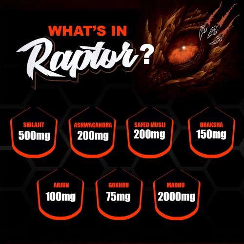 Dr. Morepen: Muscle Food Raptor 500ml