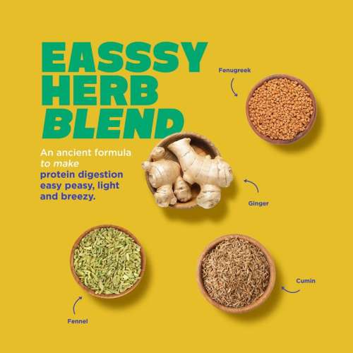 Yogabar: ProClean Plant Protein Powder 500gm | 25gm Protein Per Serve - Coffee Flavour with Monk Fruit Sweetener