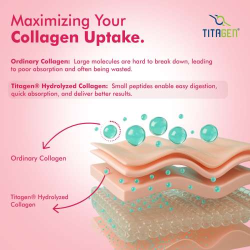 Dr. Morepen: Marine Skin Collagen Protein Pineapple 250gm (Jar)