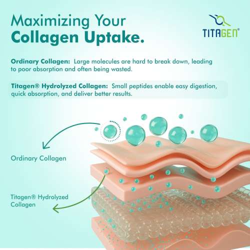 Dr. Morepen: Marine Collagen Skin Protein | 250gm