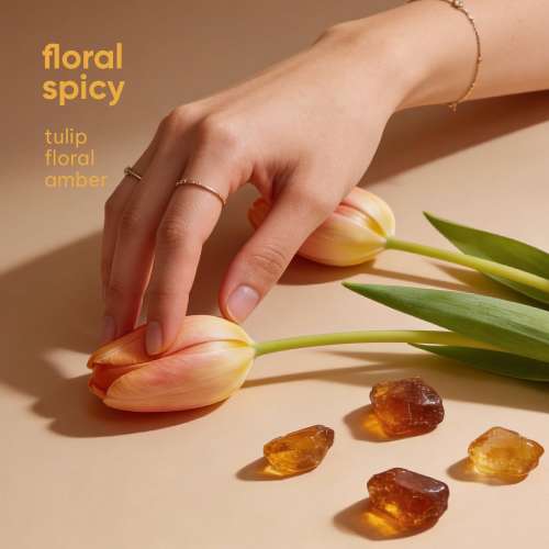 The Joon Shop: Solid 2|Floral Spicy|Tulip Floral Amber|Made in Korea|Alcohol Free, Moisturising, Vegan, Natural Extract 6gm