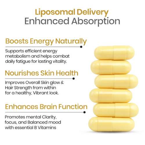 Vlado's Himalayan Organics: Vlados Himalayan Organics Liposomal Vitamin B Complex with 100% RDA B1, B2, B3, B5, B6, B9 & B12 | Hair Growth, Boost Energy And Immunity (60 Capsules)