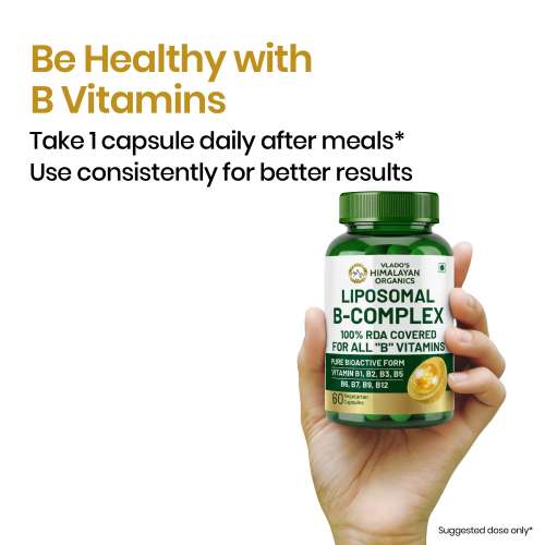 Vlado's Himalayan Organics: Vlados Himalayan Organics Liposomal Vitamin B Complex with 100% RDA B1, B2, B3, B5, B6, B9 & B12 | Hair Growth, Boost Energy And Immunity (60 Capsules)