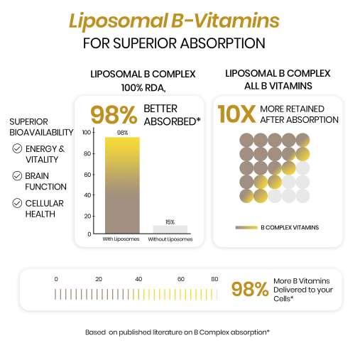 Vlado's Himalayan Organics: Vlados Himalayan Organics Liposomal Vitamin B Complex with 100% RDA B1, B2, B3, B5, B6, B9 & B12 | Hair Growth, Boost Energy And Immunity (60 Capsules)