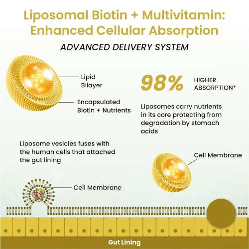 Vlado's Himalayan Organics: Vlados Himalayan Organic Liposomal Biotin 10000 MCG Supplement For Men And Women With Amino Acids+Multivitamin+Multimineral For Healthy Hair, Skin & Nails -120 Vegetarian Tablets