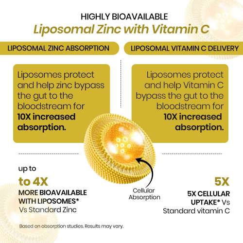 Vlado's Himalayan Organics: Vlado's Himalayan Organics Liposomal Zinc With Vitamin C Supplement | Digestive Health | Improve Iron Absorption | Double Antioxidant & Immune Support -120 Veg Capsules