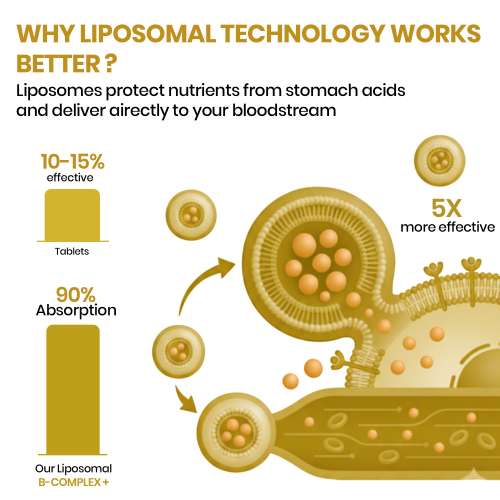 Vlado's Himalayan Organics: Vlados Himalayan Organics Liposomal Vitamin B Complex with 100% RDA B1, B2, B3, B5, B6, B9 & B12 | Hair Growth, Boost Energy And Immunity (60 Capsules)