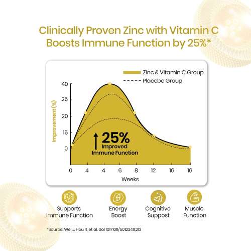 Vlado's Himalayan Organics: Vlado's Himalayan Organics Liposomal Zinc With Vitamin C Supplement | Digestive Health | Improve Iron Absorption | Double Antioxidant & Immune Support -120 Veg Capsules