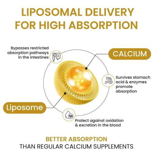 Vlado's Himalayan Organics: Vlados Himalayan Organics Liposomal Calcium 2100mg with Vitamin D3 + K2 (MK-7) & Vitamin B12 | Better Absorption | Supports Healthy Bones, Heart, Joints & Recovery | For Men & Women | 60 Veg Tablets