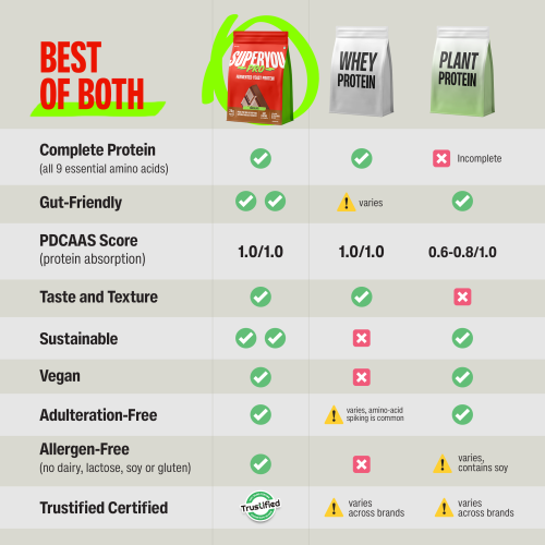 SuperYou: Pro Fermented Yeast Protein Isolate 500gm | 24gm Protein| Chocolate| Higher Absorption than Plant Protein | Superior Muscle Recovery | Gut Friendly | Vegan Protein | PDCAAS of 1