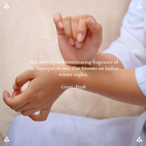 Boond Fragrances: Satparni Natural Perfume Oil (Saptaparni Tree Attar) |3ml